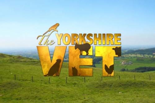 A Yorkshire-i állatorvos XI./7. tartalma - Viasat Nature (HD) 2024.04.25 04:45