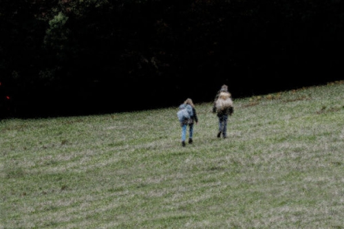 Az erdő sötét szíve tartalma - Cinemax (HD) 2024.03.28 02:15