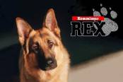 tv-műsor: Rex felügyelő III./3.