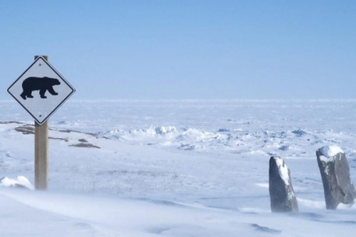 Az Északi-sarkvidék I./4. részletes műsorinformáció - BBC Earth (HD) 2018.04.27 16:15