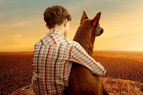 Vörös kutya - A kezdetek - ausztrál családi vígjáték