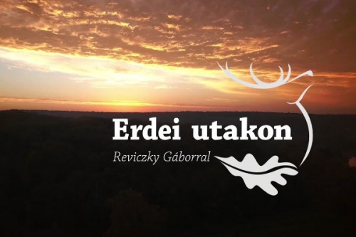 Erdei utakon - Reviczky Gáborral tartalma - Erdély TV 2024.05.03 08:30