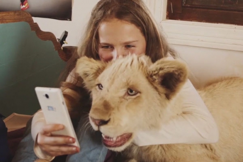 Mia és a fehér oroszlán - francia kalandfilm