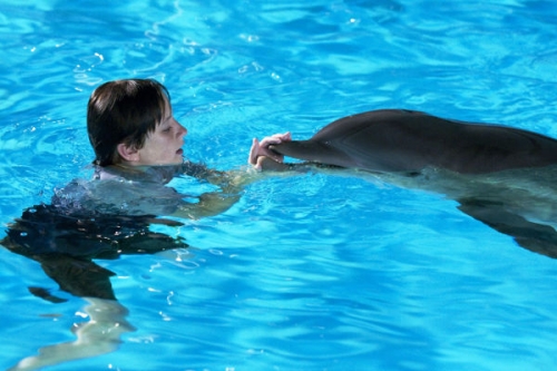 Delfines kaland