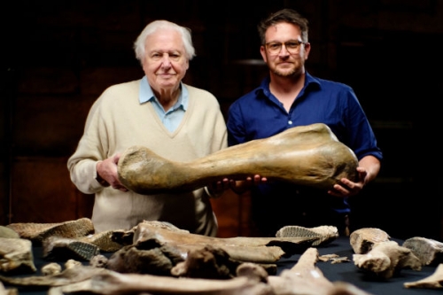 Attenborough és a mamut temető tartalma - Viasat Nature (HD) 2024.04.26 16:30