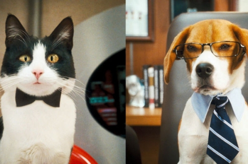 Kutyák és macskák: A rusnya macska bosszúja - amerikai családi vígjáték
