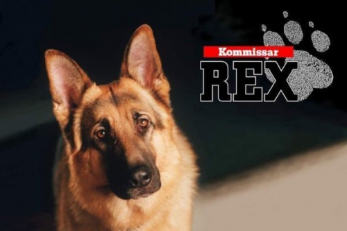 Rex felügyelő VII./3. tartalma - Duna TV (HD) 2017.10.16 18:35