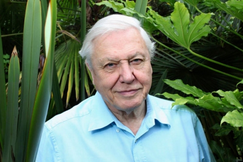 David Attenborough és az óriásdinoszaurusz tartalma - BBC Earth (HD) 2017.09.28 18:30