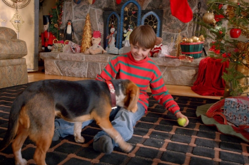 Shelby: A kutya, aki megmentette a karácsonyt - kanadai családi kalandfilm