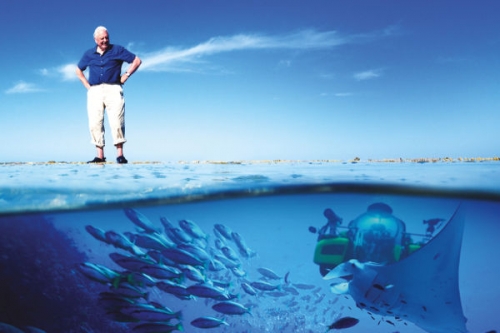 David Attenborough: A Nagy-korallzátony I./2. tartalma - Viasat Nature (HD) 2018.02.18 19:00