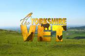 tv-műsor: A Yorkshire-i állatorvos XI./5.