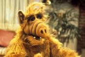 tv-műsor kép: Alf - Karácsonyi különkiadás